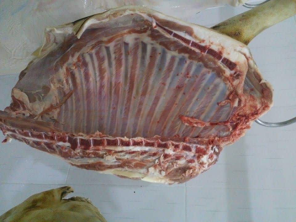 Chia sẻ kinh nghiệm khi mua thịt dê tươi ở Sài Gòn